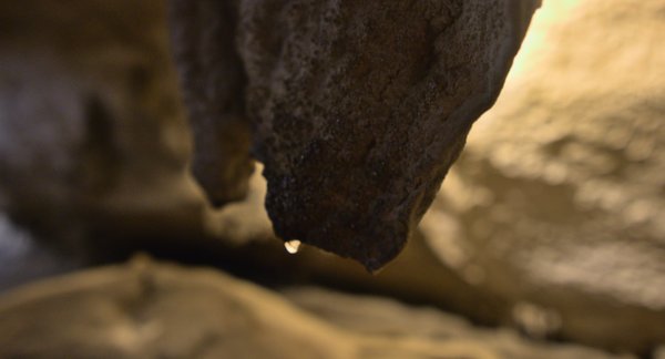 Boyden Cavern Adventures & Tours LLC. by null