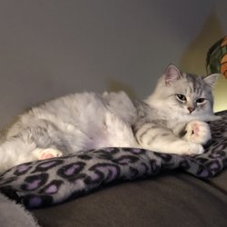 Relaxing at home after her spa day! Looking just as beautiful as ever!