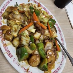 Hong Kong Chop Suey - Mongolian beef
