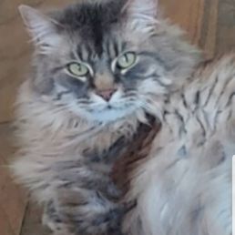 My boy suffered under their care. Owner beware... My boy suffered under their care. Owner beware...
