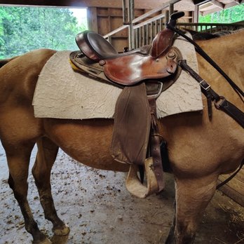 Sugarlands Stables - Horseback Riding Near Me - Gatlinburg, Tennessee