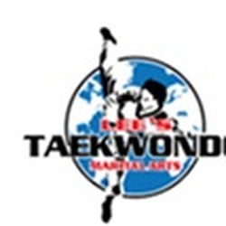 Lee's Taekwondo Martial Arts