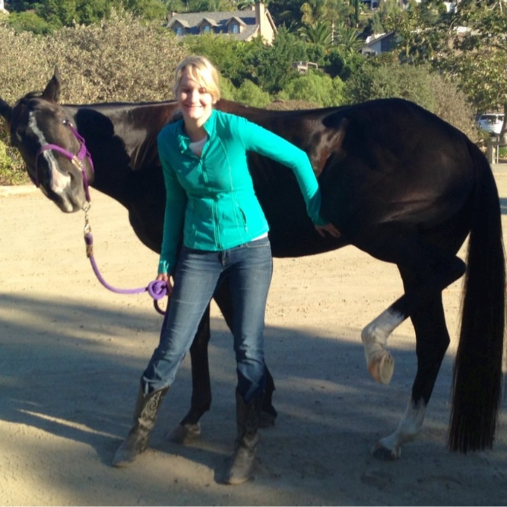 Horsemanship Academy - My favorite horse, Madison, loves belly rubs! - Horseback Riding Near Me