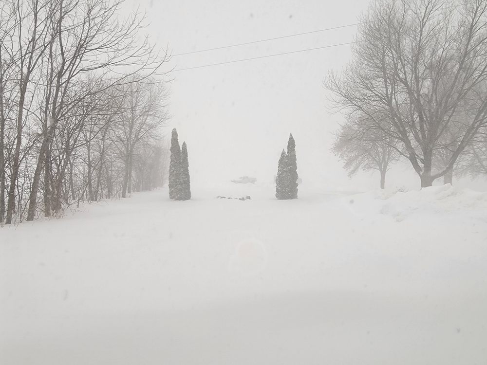 SURF & TURF Updated October 2024 Waconia, Minnesota Snow Removal Phone Number Yelp