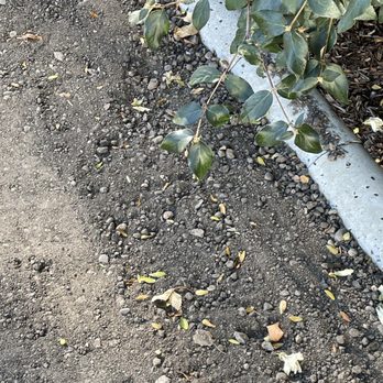 Idaho Pave and Seal - Masonry/Concrete Near Me Idaho Pave and Seal - Masonry/Concrete Near Me