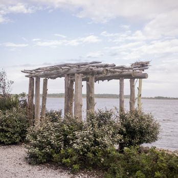 Basnight's Lone Cedar Cafe - Seafood Near Me - Nags Head, North Carolina