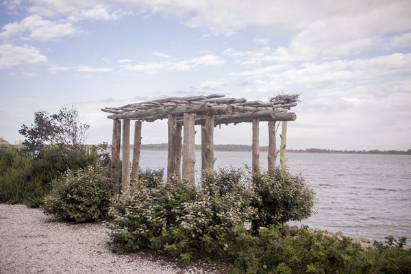 Basnight's Lone Cedar Cafe by null