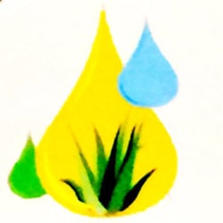 Darrell Roy - Logo..