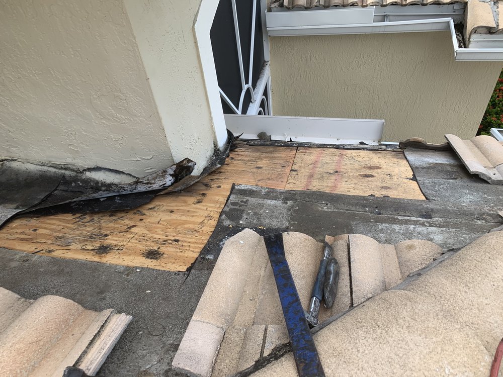 Slide of The Roof Wizard