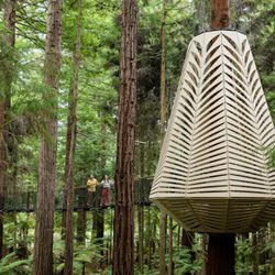 Redwoods Treewalk & Nightlights - Trubridge Horoeka Lantern