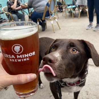 Ursa Minor Brewing - Brewpubs Near Me - Duluth, Minnesota Ursa Minor Brewing - Brewpubs Near Me - Duluth, Minnesota
