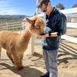 The Alpaca Hacienda