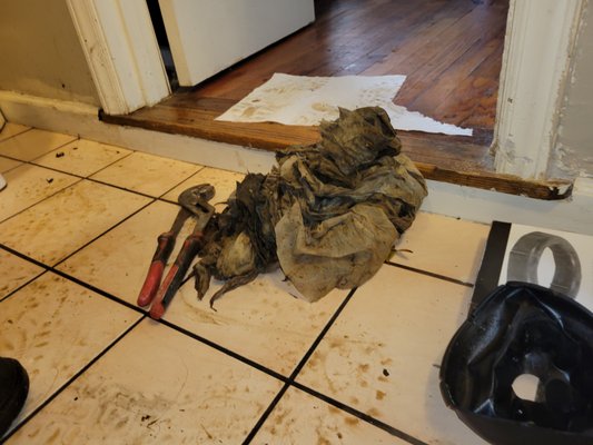 York Sewer And Drain Cleaning