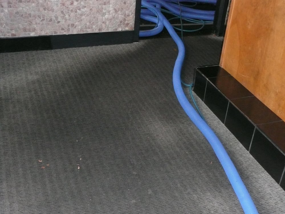 GRIME SCENE Updated June 2024 Loveland, Colorado Carpet Cleaning