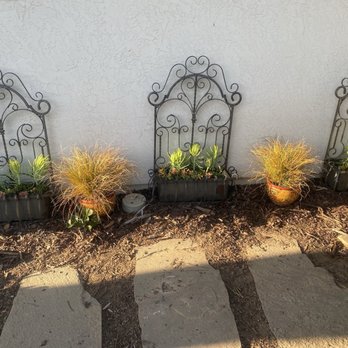 The Secret Garden - Succulents in Vintage Planters - Nurseries & Gardening Near Me - Elk Grove, California The Secret Garden - Succulents in Vintage Planters - Nurseries & Gardening Near Me - Elk Grove, California