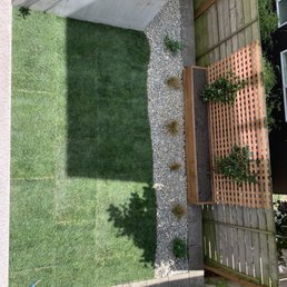 Backyard space was completely overgrown before it was cleared out and replaced with grass and jasmine on lattice. Backyard space was completely overgrown before it was cleared out and replaced with grass and jasmine on lattice.