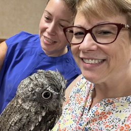 Otto the Owl