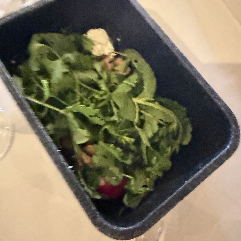 Shalizaar - Fresh Herbs, Feta and walnuts - Persian/Iranian Near Me - Belmont, California