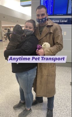 Flight Nanny - Anytime Pet Transport offers pet transportation services anywhere in the world. We offer flight nanny services, shared ground routes and express ground routes. We also offer kennel care, pet boarding, pet daycare, pet sitting and dog walking services. Please feel free to check us out on FACEBOOK and google as well.