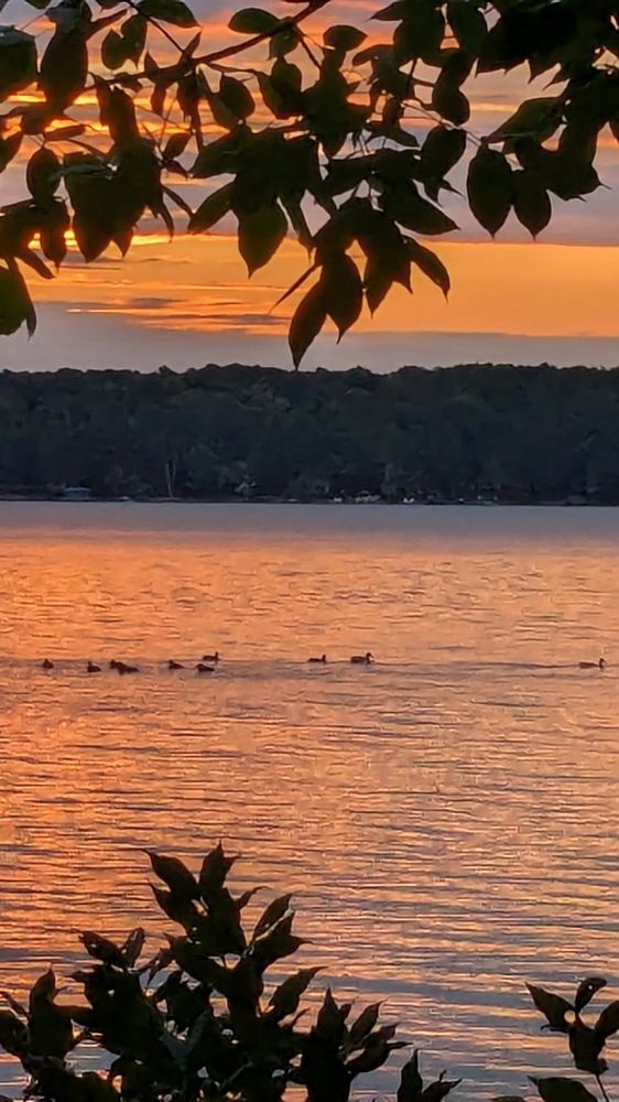 Interlochen State Park Logo