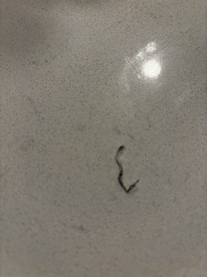 Super Pan Asian Cuisine by null