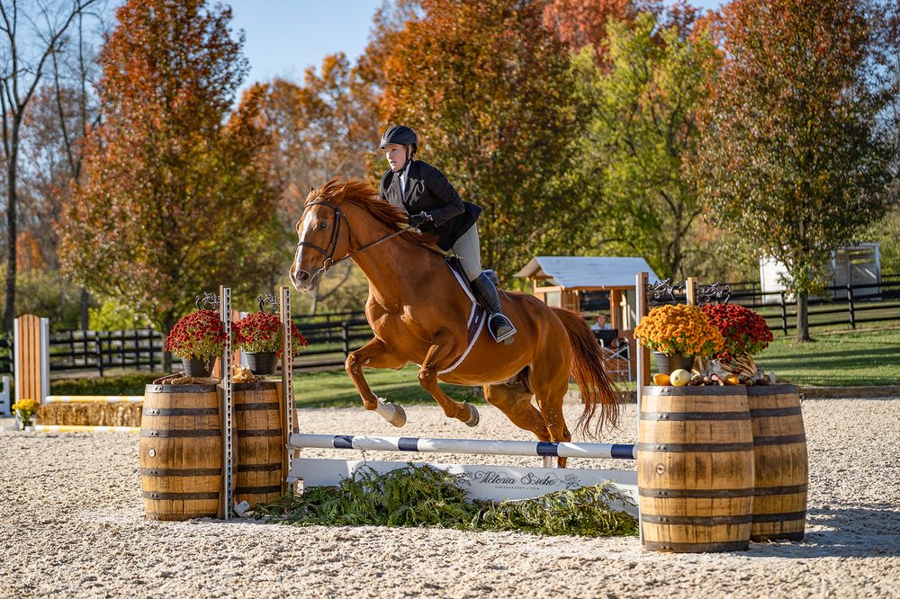 Hathaway Hill Equestrian - equestrian in Lebanon, OH