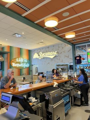 Sycamore Brewing by null