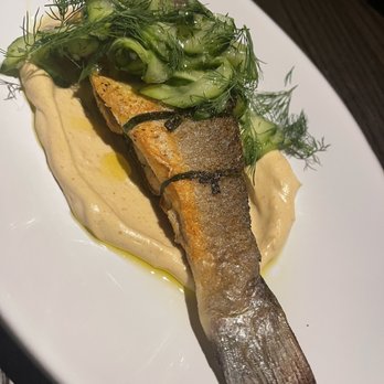 Navy Blue - Branzino - Seafood Near Me - Houston, Texas