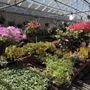 Photo of Sterner Sod Brookpark Garden Center