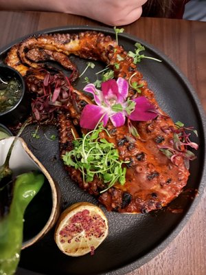 Toro Toro by null Toro Toro by null