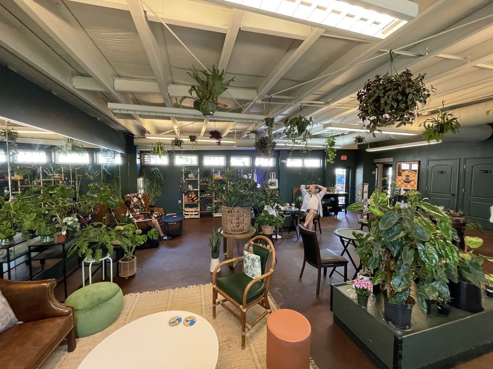 The Ground Coffee House & Plant Shop