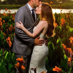 Sweet Romance