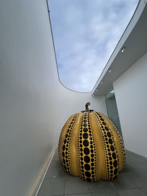YAYOI KUSAMA Museum by null