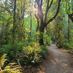 Overlake Farm - 400+ acres of beautiful trails!