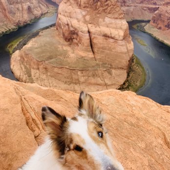 Horseshoe Bend - Shasta at Horseshoe Bend! - Hiking Near Me - Page, Arizona
