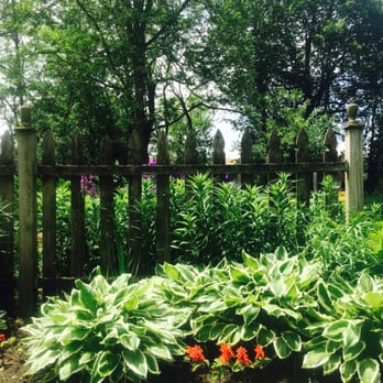 Fatt Cat Cafe - a garden with a fence and flowers - American Near Me - Rockton, Illinois