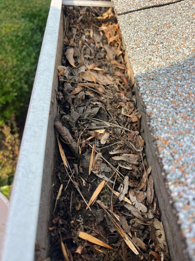 Slide of San Diego Signature Roofs