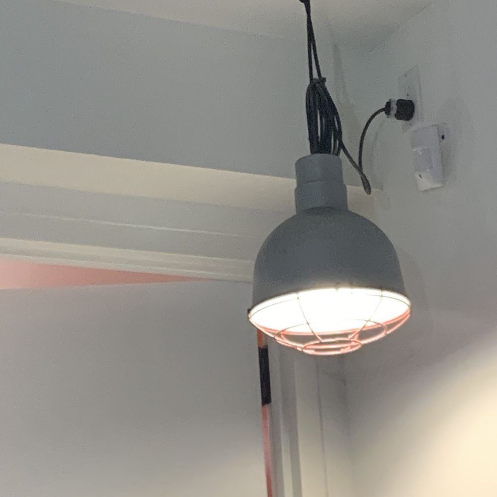 Motion sensor?