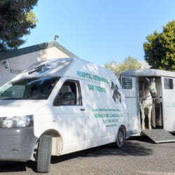Hospital Veterinario San Vicente - Servicio ambulancia para caballos Hospital Veterinario San Vicente