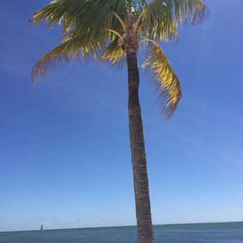 Islander Resort - Resorts Near Me - Islamorada, Florida