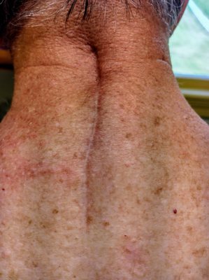 American Shakespeare Center's Blackfriars Playhouse by null