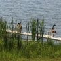 Photo of Lakeshore Motel Ice Lake