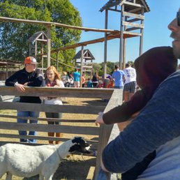 Feed the goats! Feed the goats!