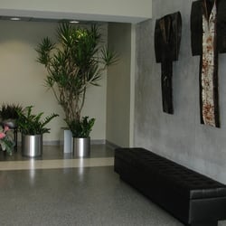 plants