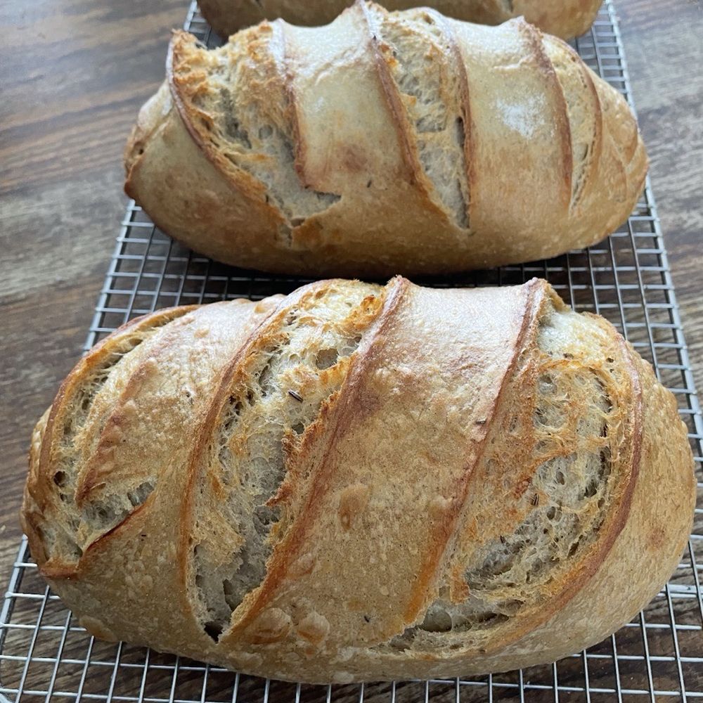 Bread Fermented - Bakeries Near Me