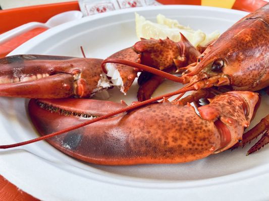 Arnold’s Lobster & Clam Bar by null