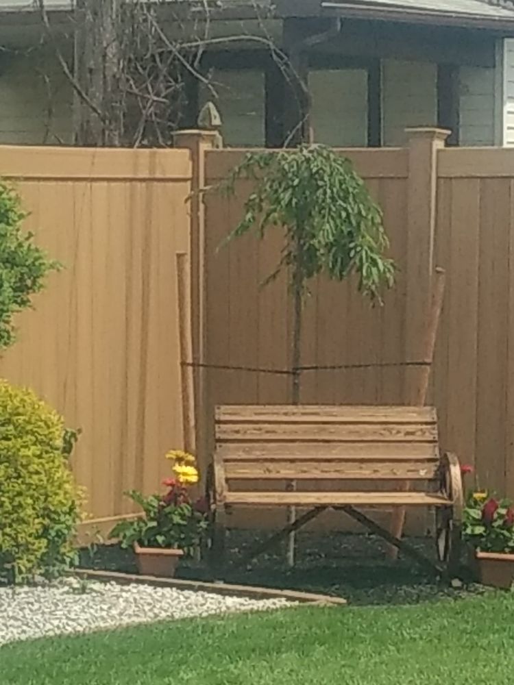 Red Rose Landscaping - tree service in Tonawanda, NY