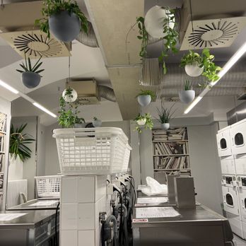 Prague Andy's Laundromat - Inside of the laundromat. The plants are a nice touch. - Laundry Services Near Me - Prague, Puerto Rico Prague Andy's Laundromat - Inside of the laundromat. The plants are a nice touch. - Laundry Services Near Me - Prague, Puerto Rico