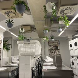 Prague Andy's Laundromat - Inside of the laundromat. The plants are a nice touch.