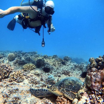 Kaimana Divers - Turtle - Scuba Diving Near Me - Honolulu, Hawaii Kaimana Divers - Turtle - Scuba Diving Near Me - Honolulu, Hawaii